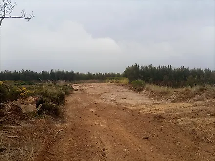 image-96lrpSvaYnB-0