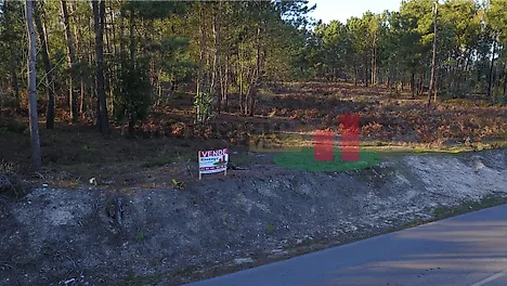 Land for sale in Rio Maior, Portugal — €204,000