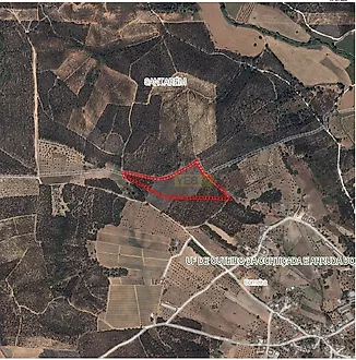 listing-HBii1vlJTqK