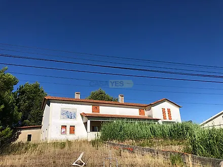 image-LSpu25KZ6dL-0