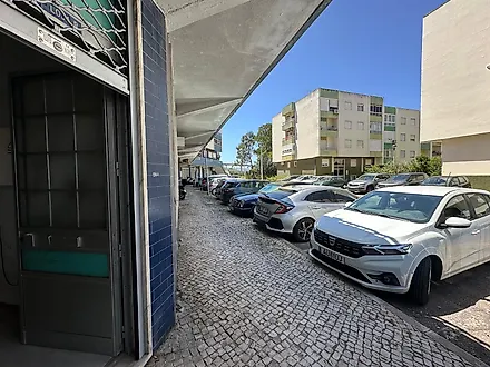 image-XRNAEWHund-0