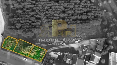 image-I67pKGI3alG-0