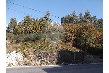 image-83kUdllt318-0