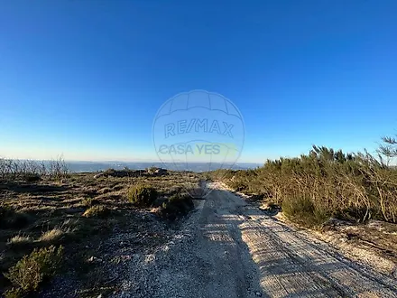 image-BoiZIjzmuMm-0
