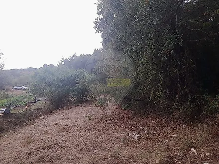 image-6NRLHIFycTN-0