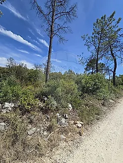 image-76UbZYmSjtr-0