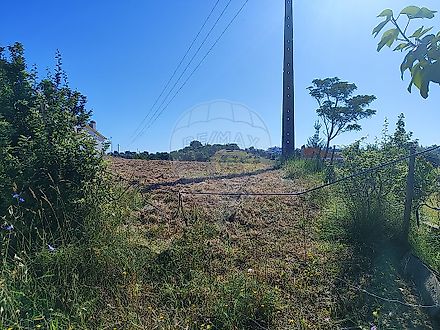 Land for sale in Torres Novas, Portugal — €60,000