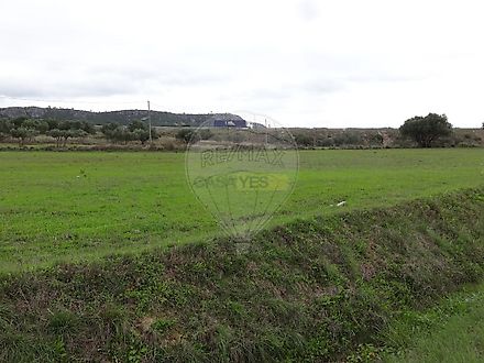 image-8SxhoqYCiSI-0