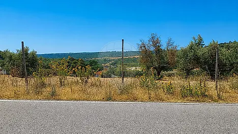image-DIOoJ3kDlPn-0