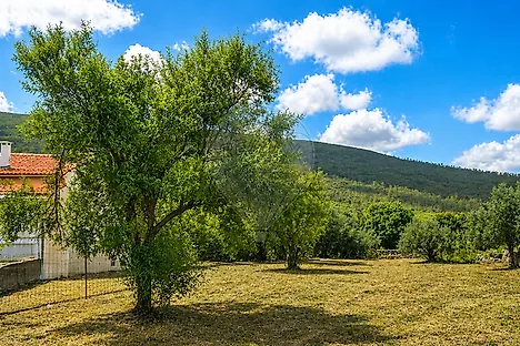image-J3ZGx903HjL-0