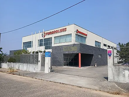 image-iUhhUes3V8-0