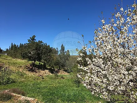 image-BTbR2fTNLV-0