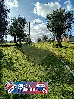 image-BaRPCwtwqGQ-0