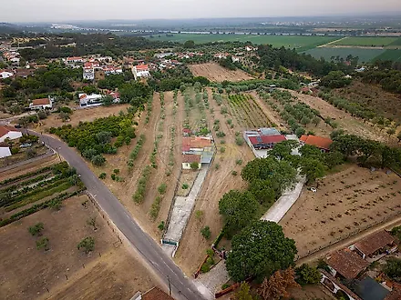 image-EaKzCFjUpAw-0