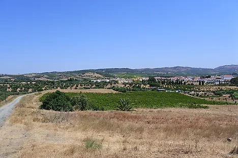 image-eIZrzvpFVr-0