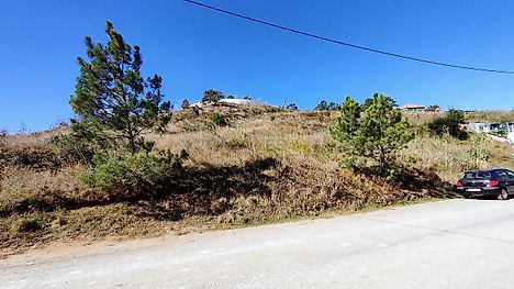 image-5CqtxOUhZMn-0