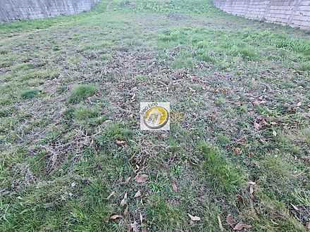Terreno em Oliveira de Azeméis