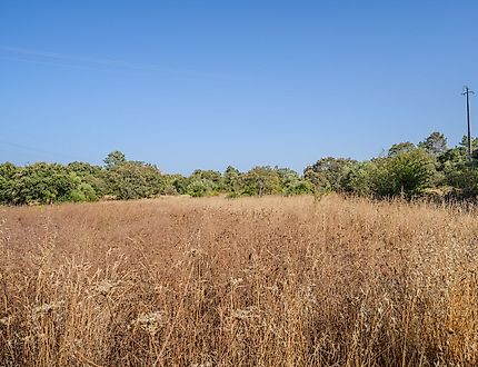 Land for sale in Ourém, Portugal — €150,000