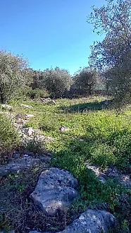 image-4vYTSnGFwJs-0