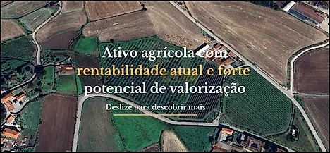 image-5LfDpVZ1UJj-0