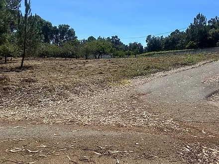 Land for sale in Alcobaça, Portugal — €70,000