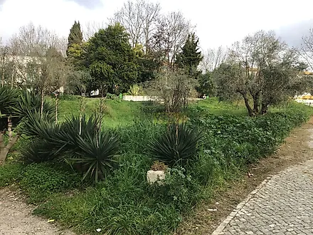 Land for sale in Torres Novas, Portugal — €88,000