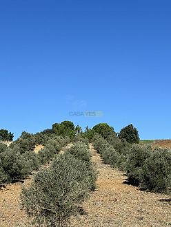 image-8gr0DfCp1zB-0