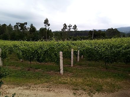 image-AizYQWxNyEB-0