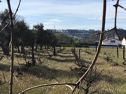 Land for sale in Abrantes, Portugal — €55,000