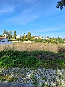 image-DohREN3z89I-0
