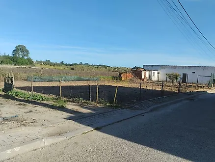 Terreno em Alpiarça