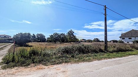 Land for sale in Pombal, Portugal — €300,000