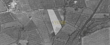 listing-Ldu1dwyBLic