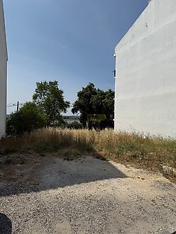 Terreno em Azambuja