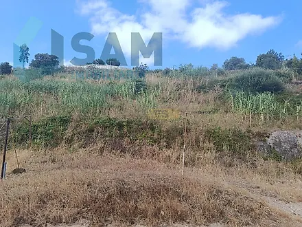 image-SomS1P6m7T-0