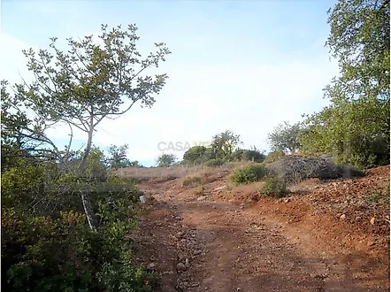 image-CApydDunhAe-0
