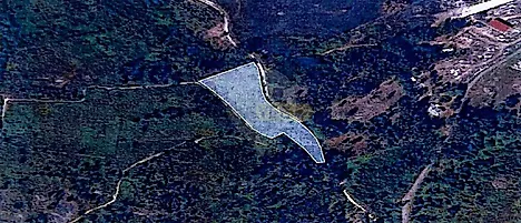 image-59svqKJXaCX-0