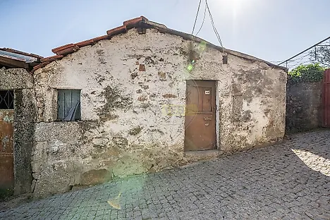 image-8788XcBbb5d-0