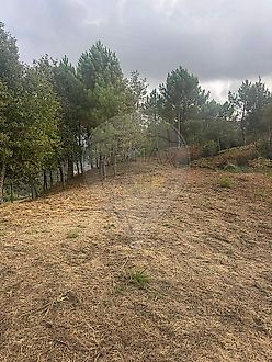 image-GJGAQNKDD67-0