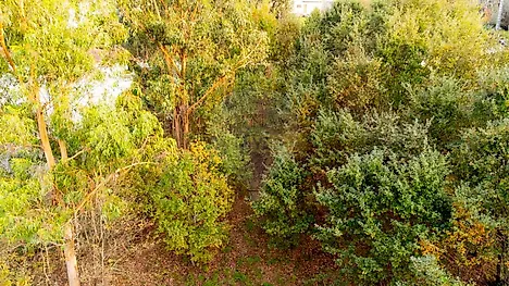 Land for sale in Guimarães, Portugal — €61,000