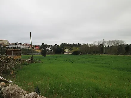 image-13Vx9hNGbsr-0