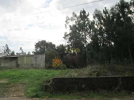 image-5UZWFDcIfdU-0