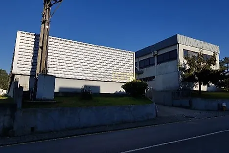 image-C1GJZeuRUcb-0