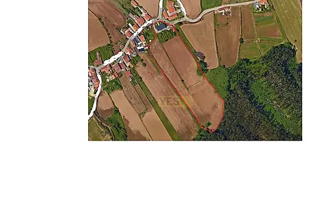 listing-CrRg9TGSRzd