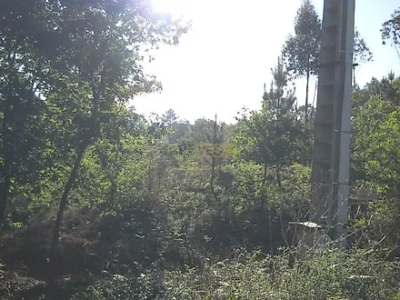 image-Gr5axIKn3BN-0