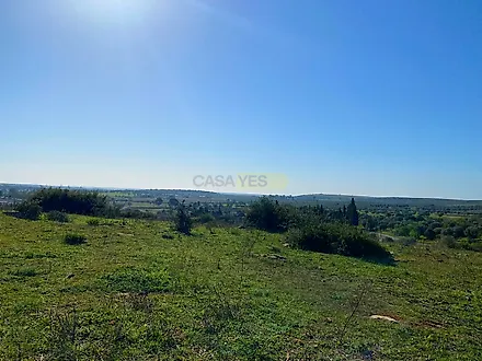 image-EnZmdJuju4g-0