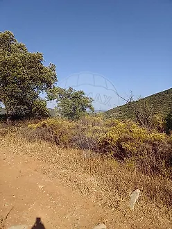 image-IawuMuzW0tu-0