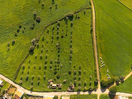 image-93QDcHhrjGW-0