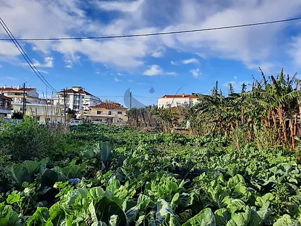 Land for sale in Sintra, Portugal — €295,000