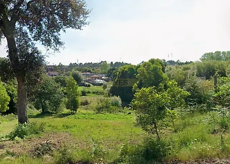 listing-3D39OMO2HmA